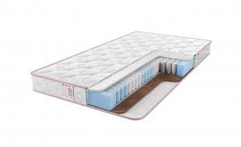 Sontelle Libre Castom Hall Plus Sontelle Libre Castom Hall Plus