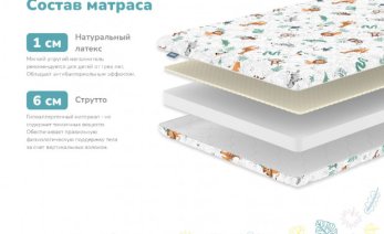 Превью фото Dimax Путешественник
