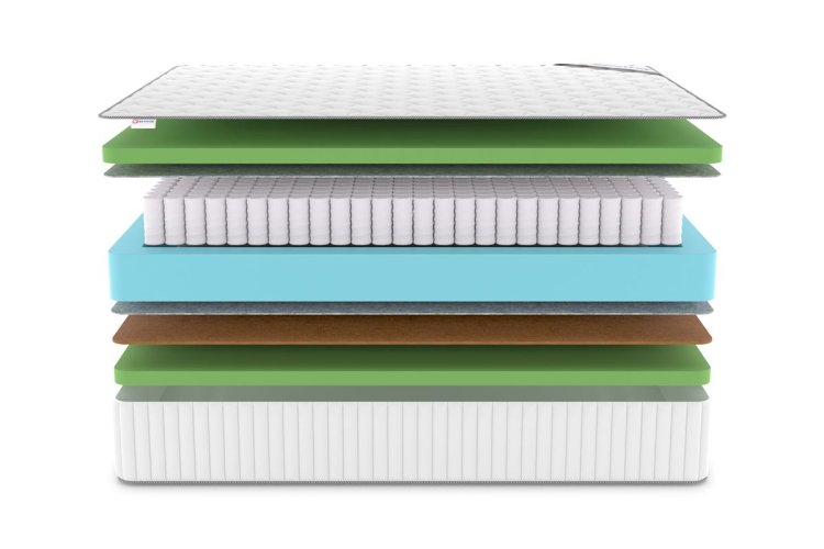 Фото Denwir Classic Balance Foam Plus TFK   №3