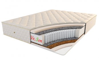 Velson Lion-mikro