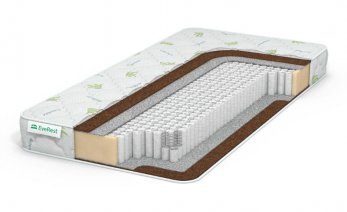 EveRest Hard Cocos 1 S1000 EveRest Hard Cocos 1 S1000