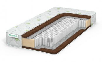 EveRest Hard Cocos 3 S1000 EveRest Hard Cocos 3 S1000