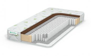 EveRest Cocos Hol S1000 EveRest Cocos Hol S1000