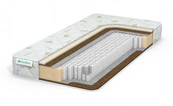 EveRest RestFoam BiCocos S1000 EveRest RestFoam BiCocos S1000