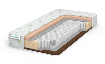 EveRest Cocos Memory S1000 EveRest Cocos Memory S1000