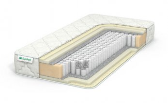 EveRest RestFoam Latex TFK EveRest RestFoam Latex TFK